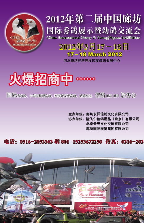 第十一届中国廊坊（国际）名鸽展示会