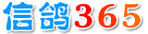 信鸽365