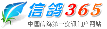 信鸽365--中国信鸽第一资讯门户网站