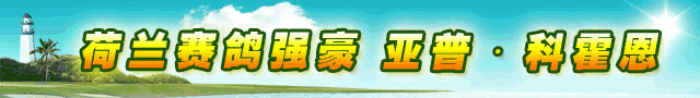 信鸽365，新版上线。欢迎体验！