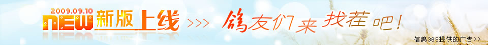 信鸽365-新版上线，欢迎您的访问!