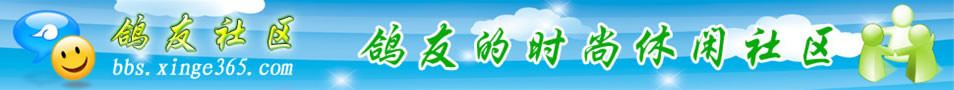 信鸽365--鸽友社区欢迎您!